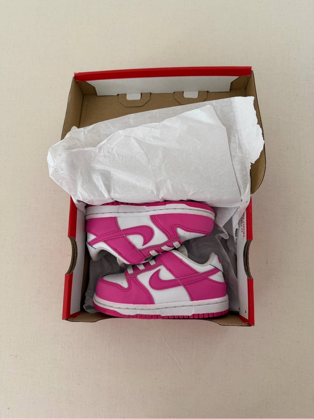 Kids Nike Dunk Low (Size 7C)